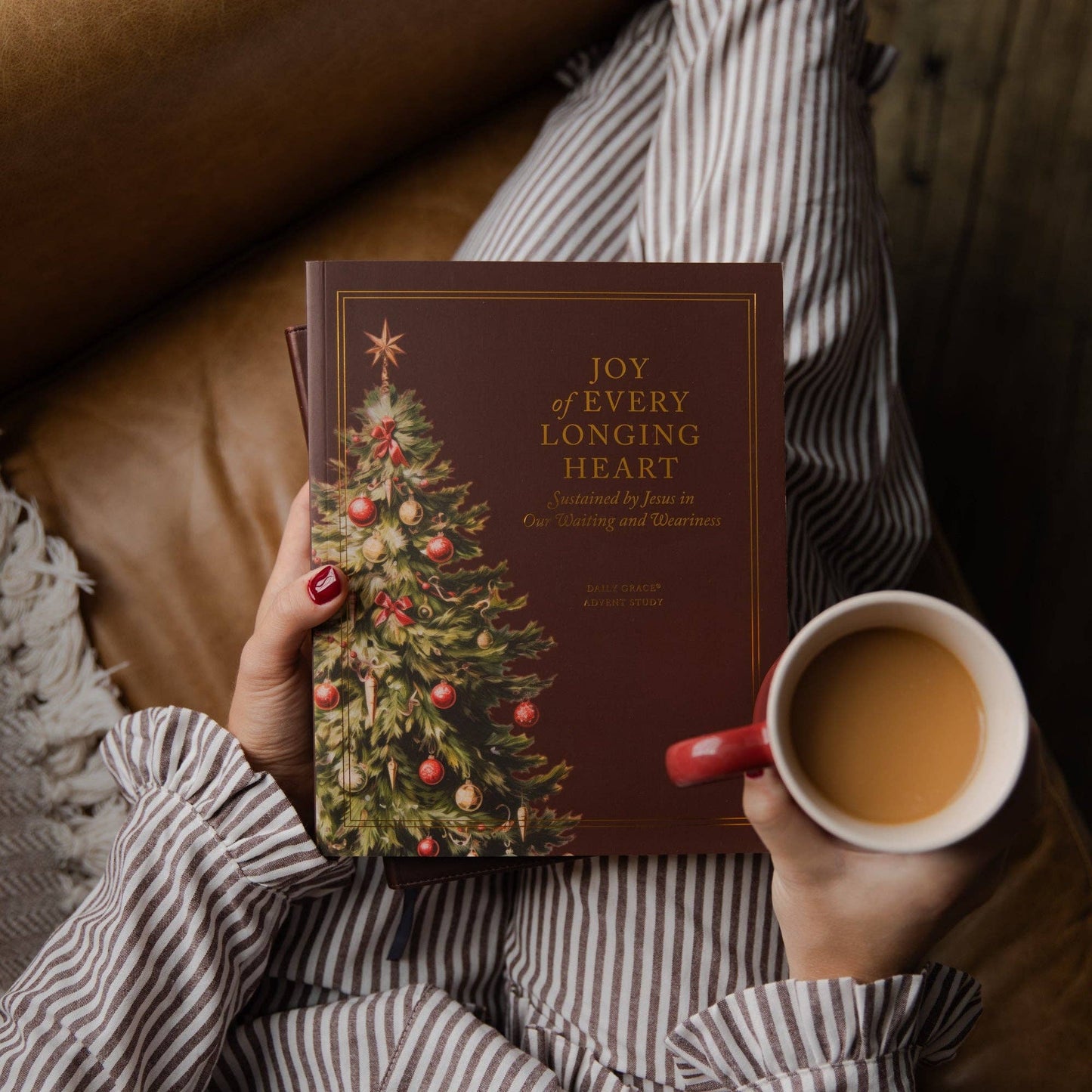 Joy of Every Longing Heart Advent Study