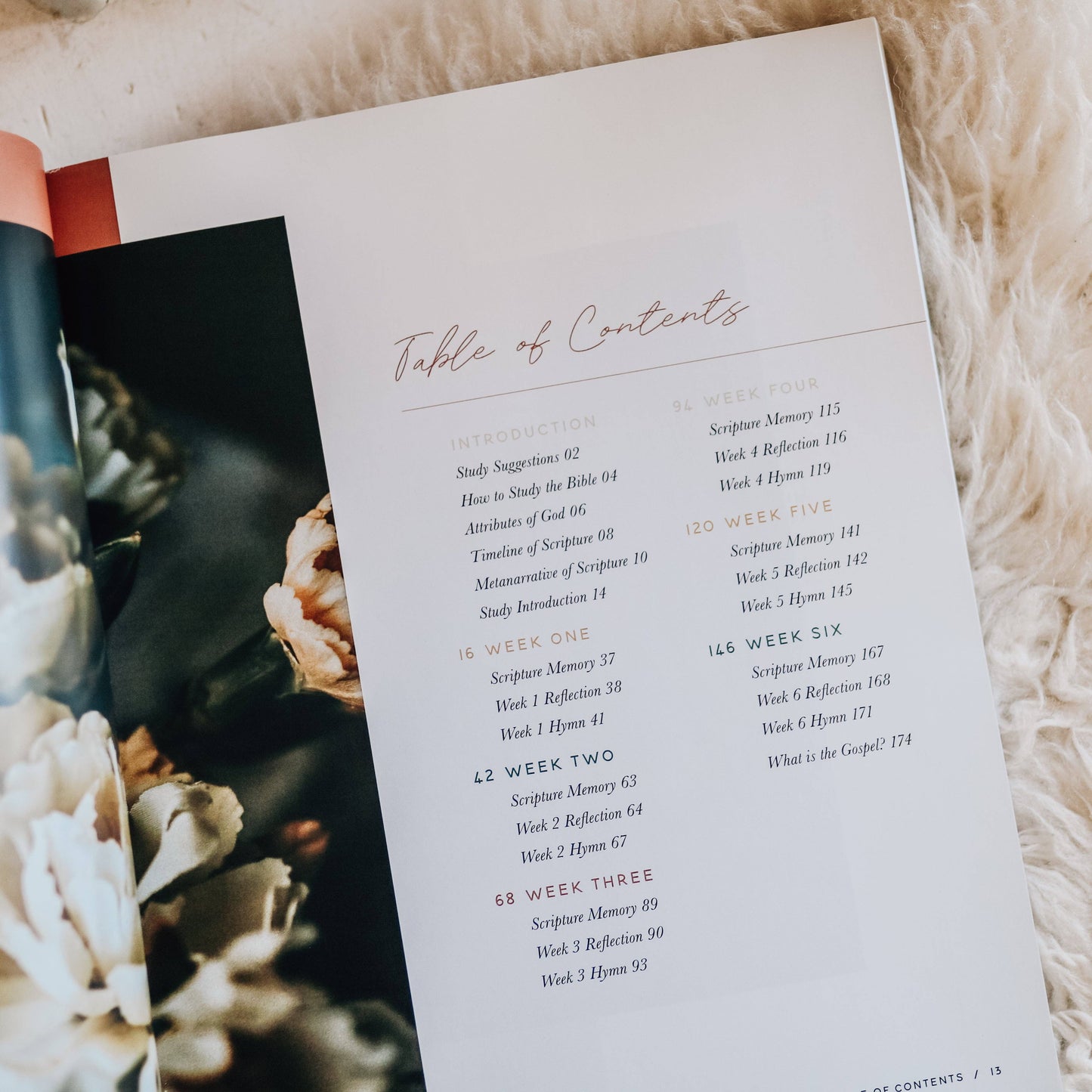 Praise Bible Study | Psalms 91-120