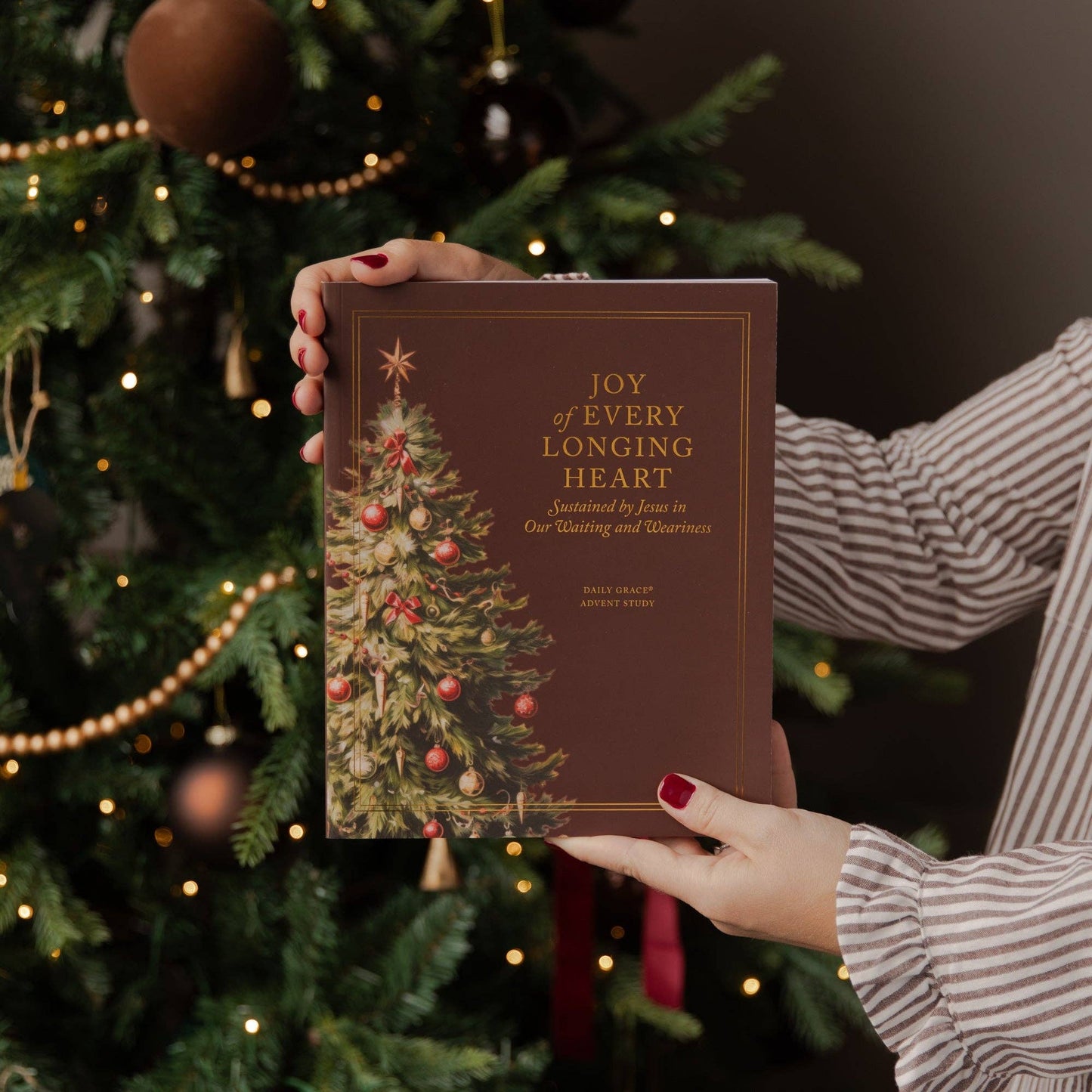 Joy of Every Longing Heart Advent Study