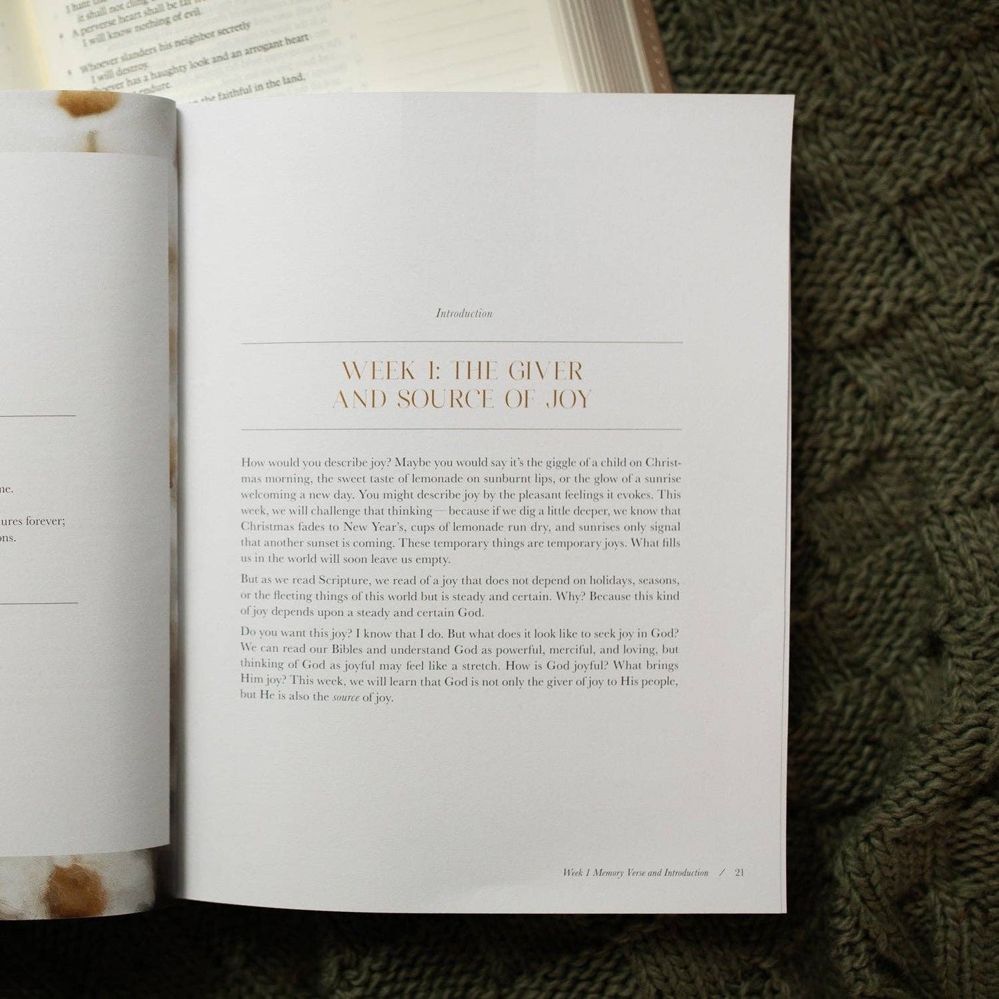 A Joy That Endures Bible Study