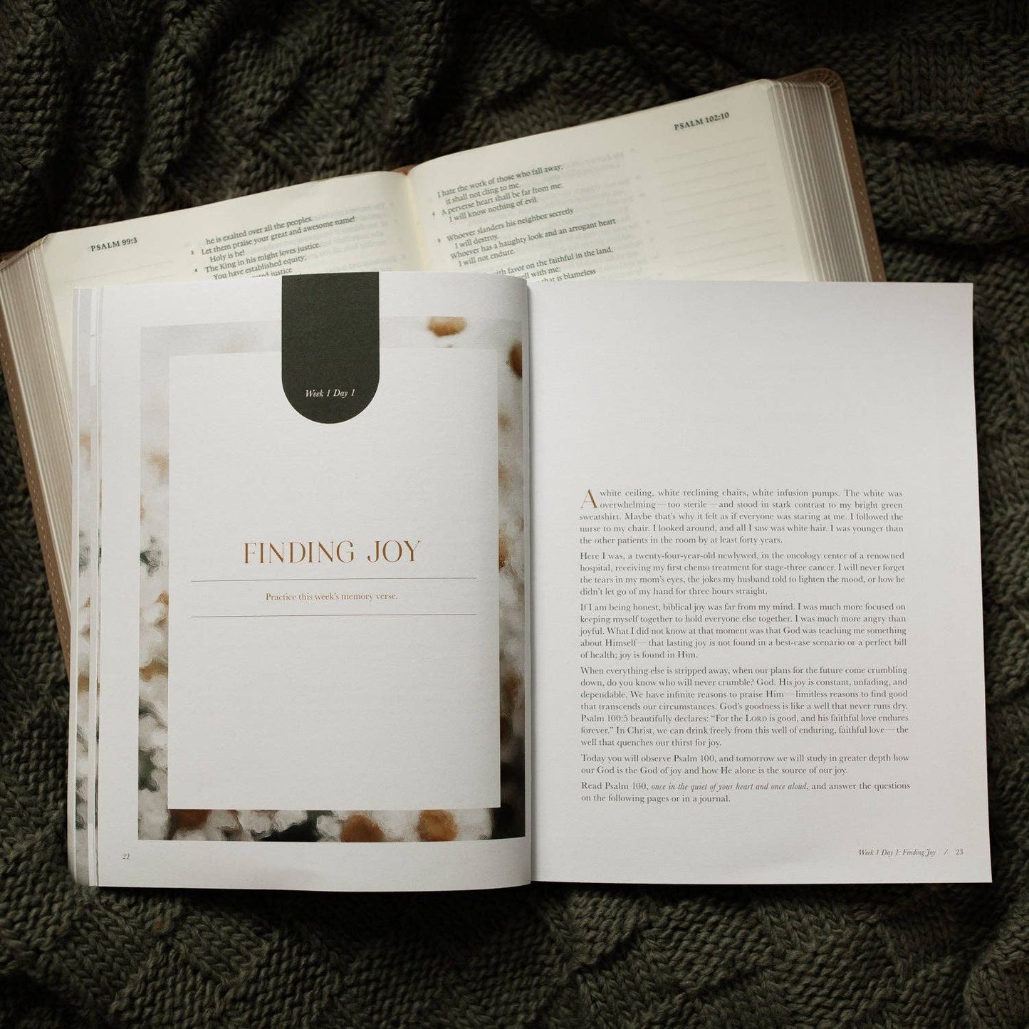 A Joy That Endures Bible Study