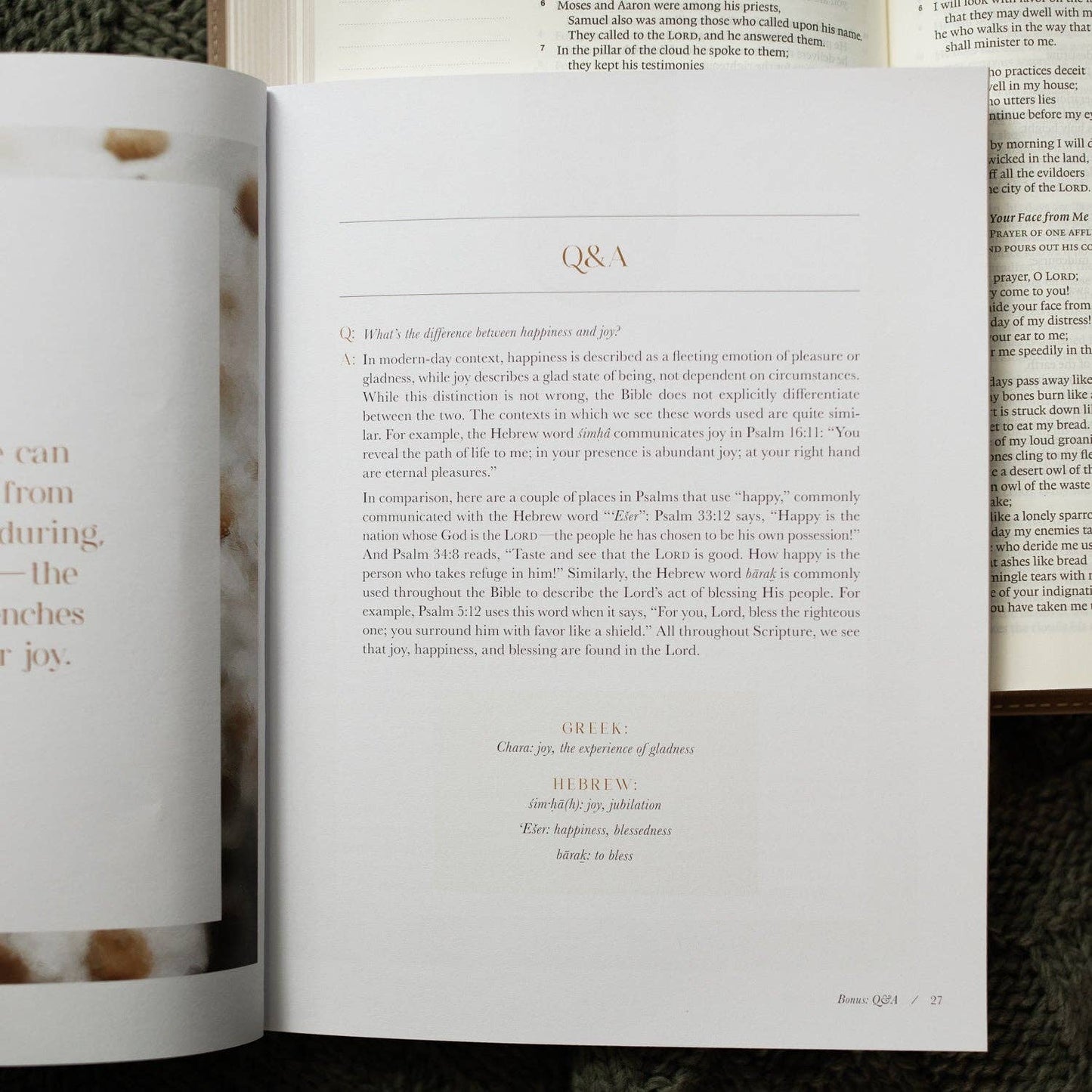 A Joy That Endures Bible Study