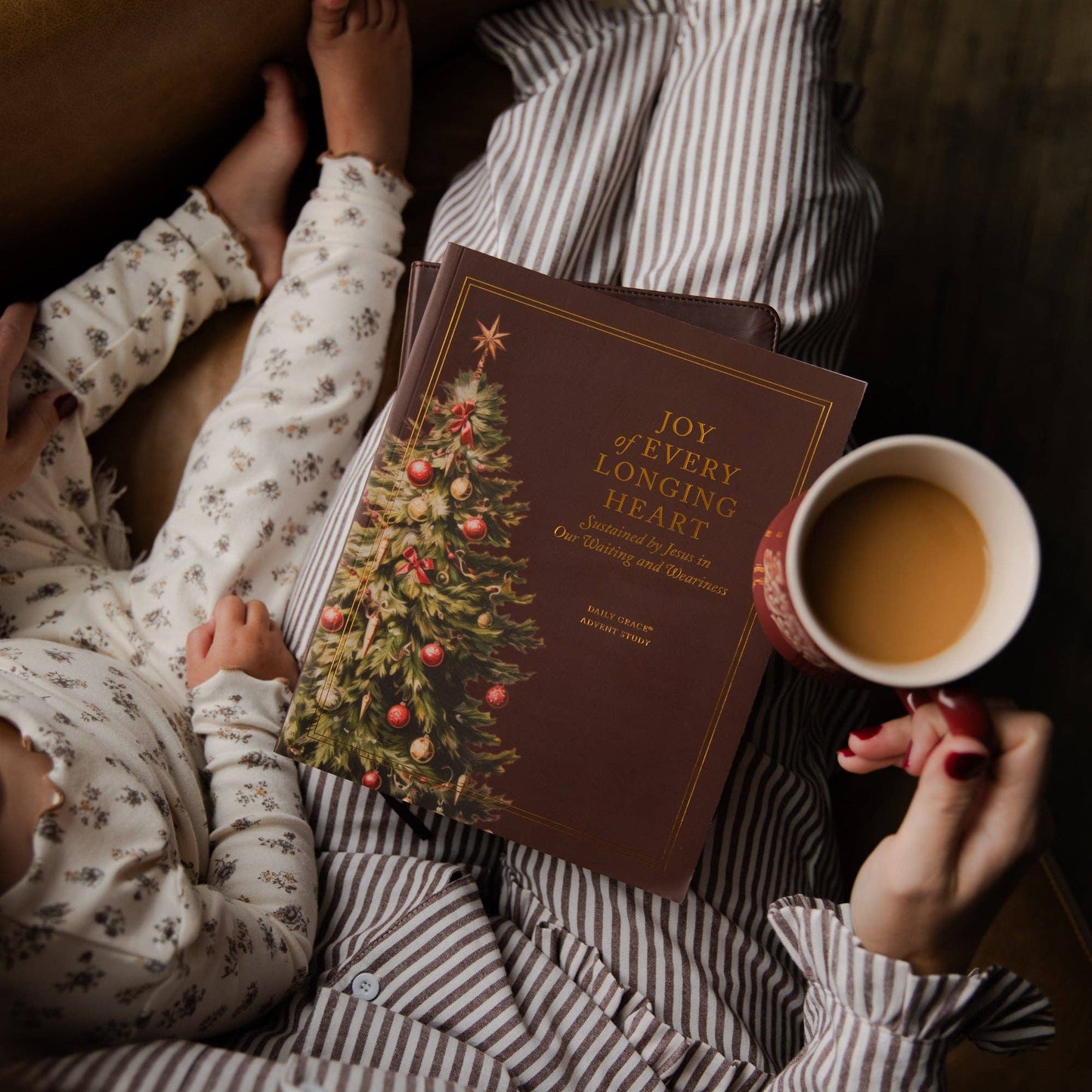 Joy of Every Longing Heart Advent Study
