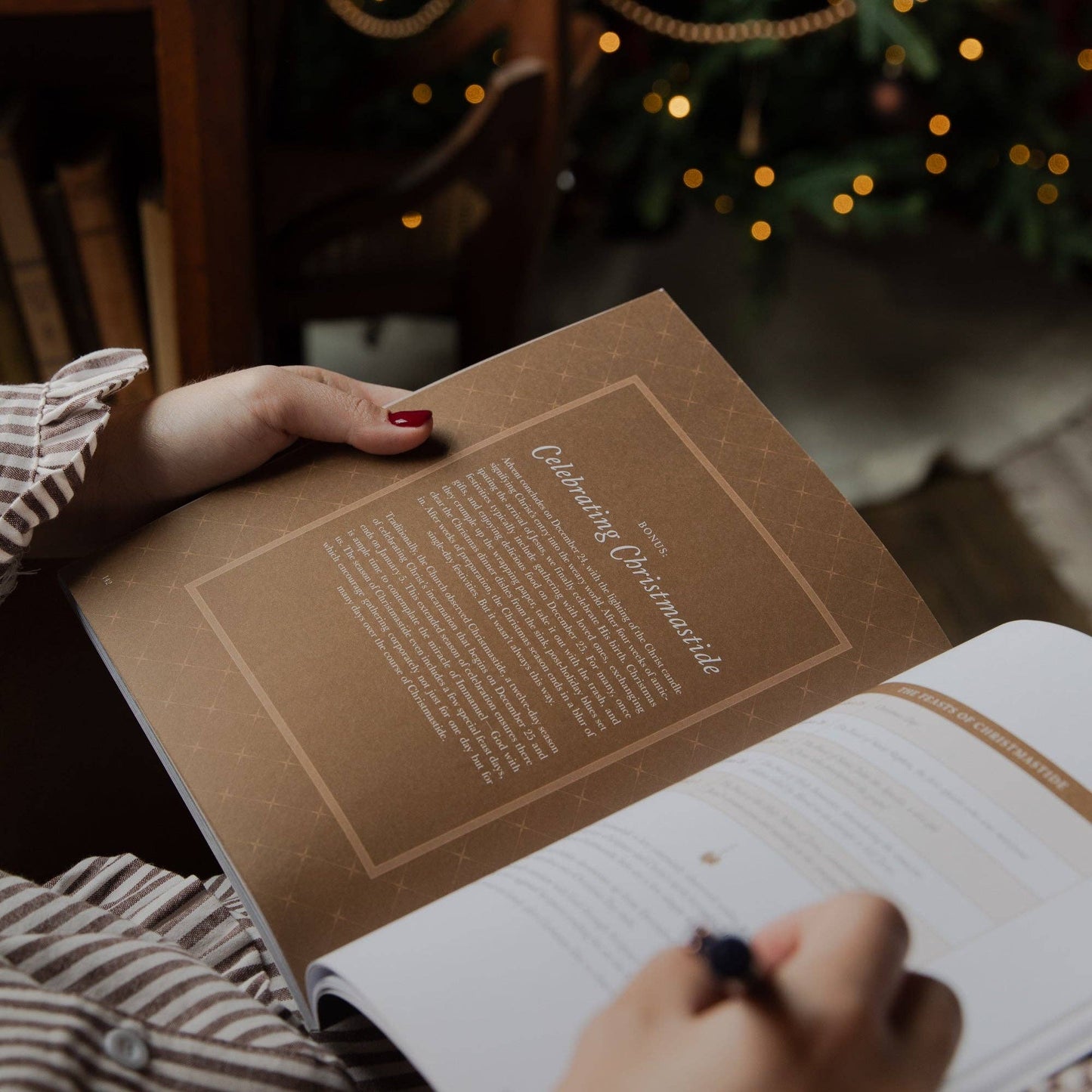 Joy of Every Longing Heart Advent Study