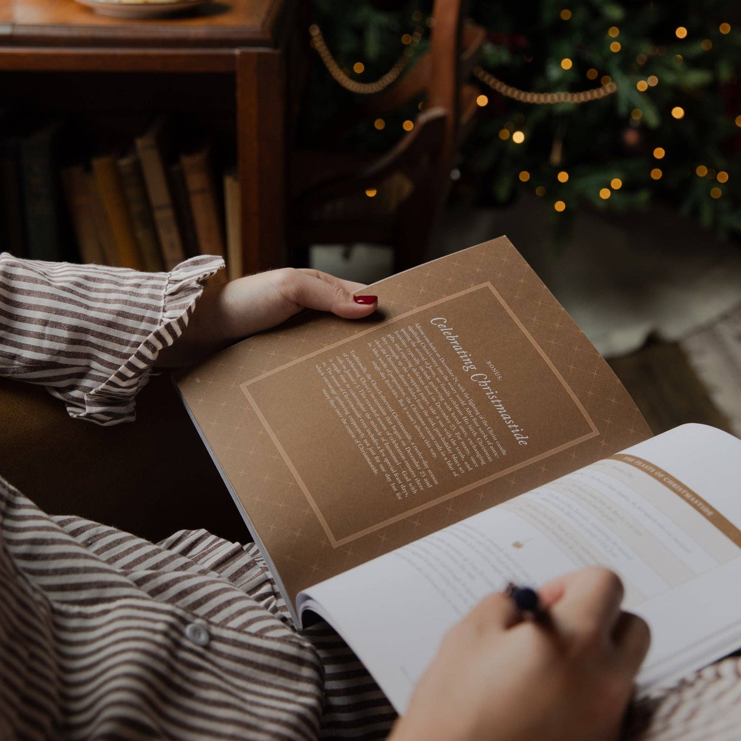 Joy of Every Longing Heart Advent Study